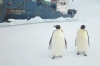 The Ukrainian delegation took part in the Commission for the Conservation of Antarctic Marine Living Resources