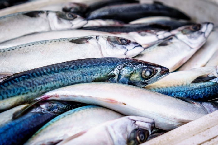 The consumption of fish is increasing in Ukraine