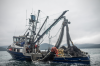 Salmon catch forecast for Alaska in 2021