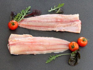 Marbled Catfish: An Exotic Traveler with Rich Flavor