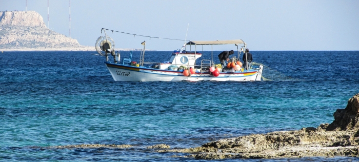 Prospects for the development of fisheries in the Mediterranean Sea