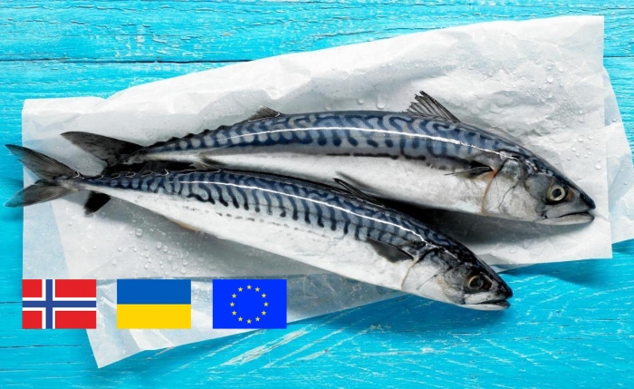 How Norwegian fish can become Ukrainian